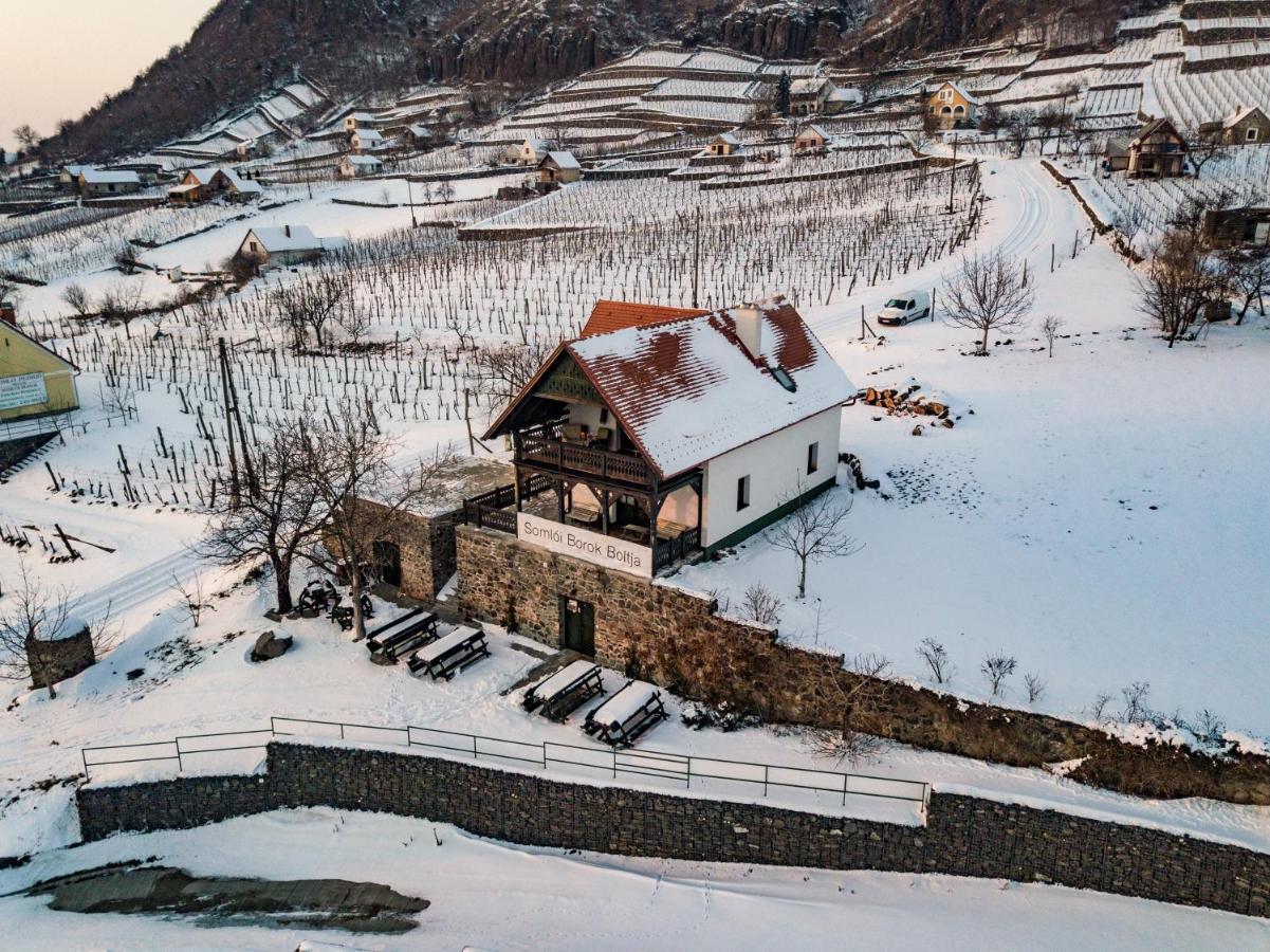 Somlo Wineshop Guesthouse Somlovasarhely Экстерьер фото